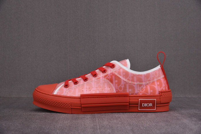 DR B23 OBLIQUE LOW TOP SNEAKER