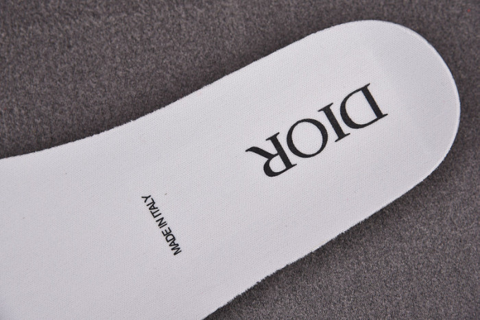 DR B23 OBLIQUE LOW TOP SNEAKER