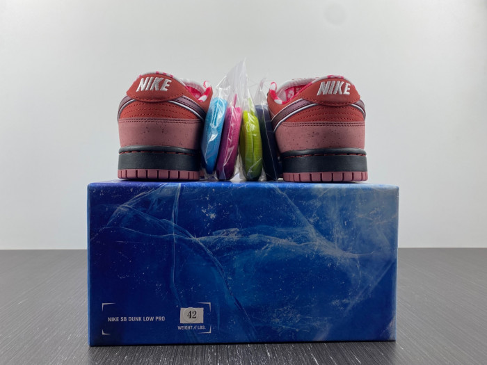 Nike DUNK LOW PREMIUM SB 