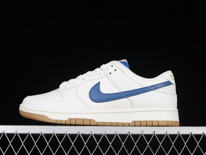 Nike SB Dunk Low DX3198-133