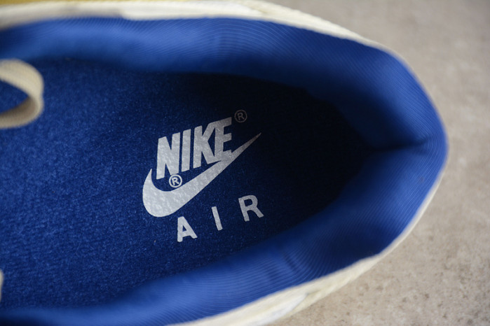 Nike Air Max 1 DV3050-500