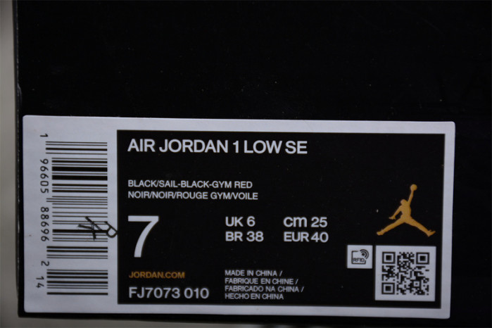 Air Jordan 1 Low “Just Skate” FJ7073-010