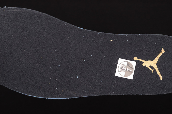 Air Jordan 12 Royalty Taxi CT8013-170