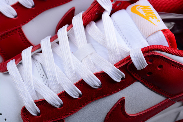 NIKE Dunk Low SG DD1391-602