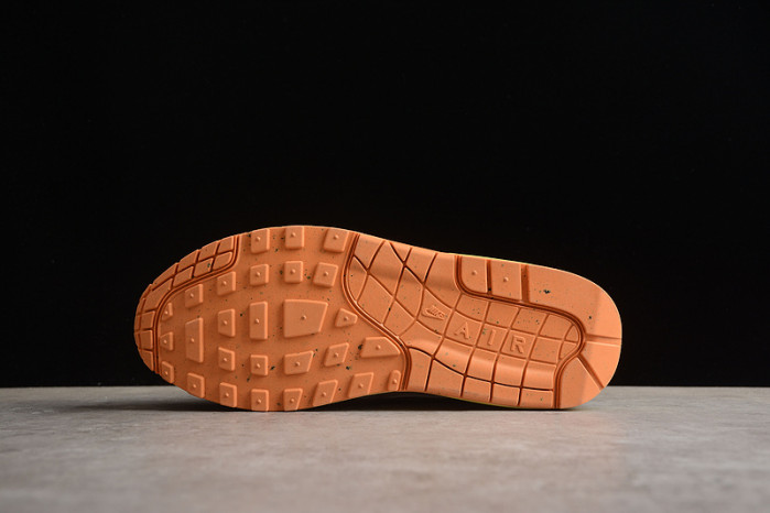 Nike Air Max 1 DV3050-500