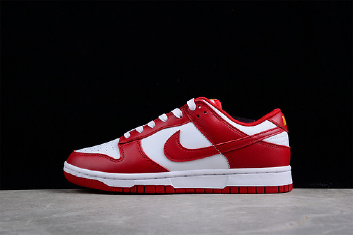 NIKE Dunk Low SG DD1391-602