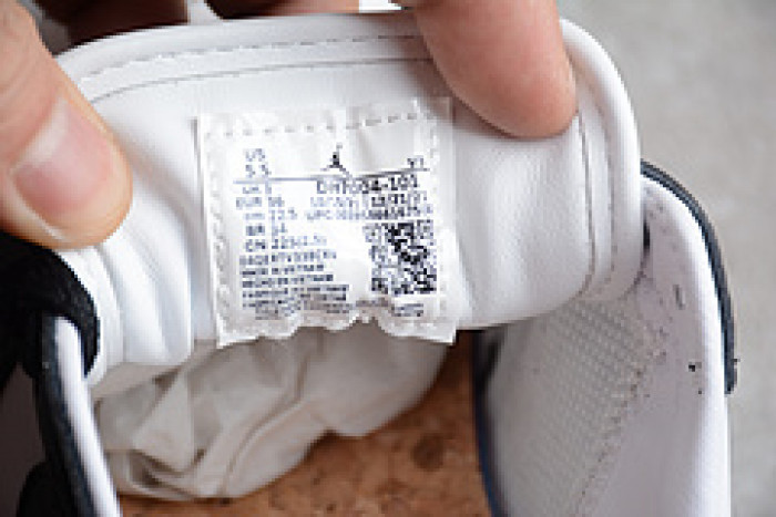 Air Jordan 1 Elevate Low SE DH7004-101