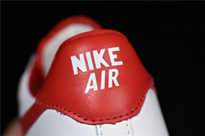 Nike Air Force 1 Low Fo Fi Fo AQ5107-100