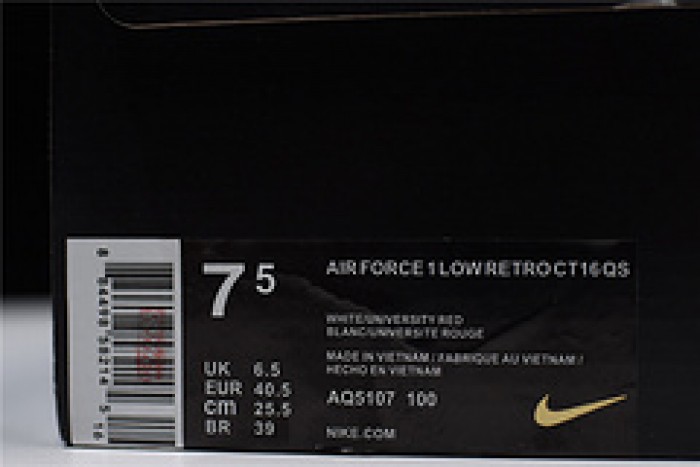 Nike Air Force 1 Low Fo Fi Fo AQ5107-100